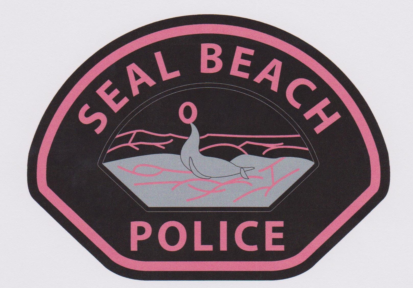 Pink Patch Project 2013